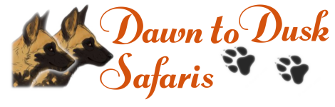 Dawn To Dusk Safaris